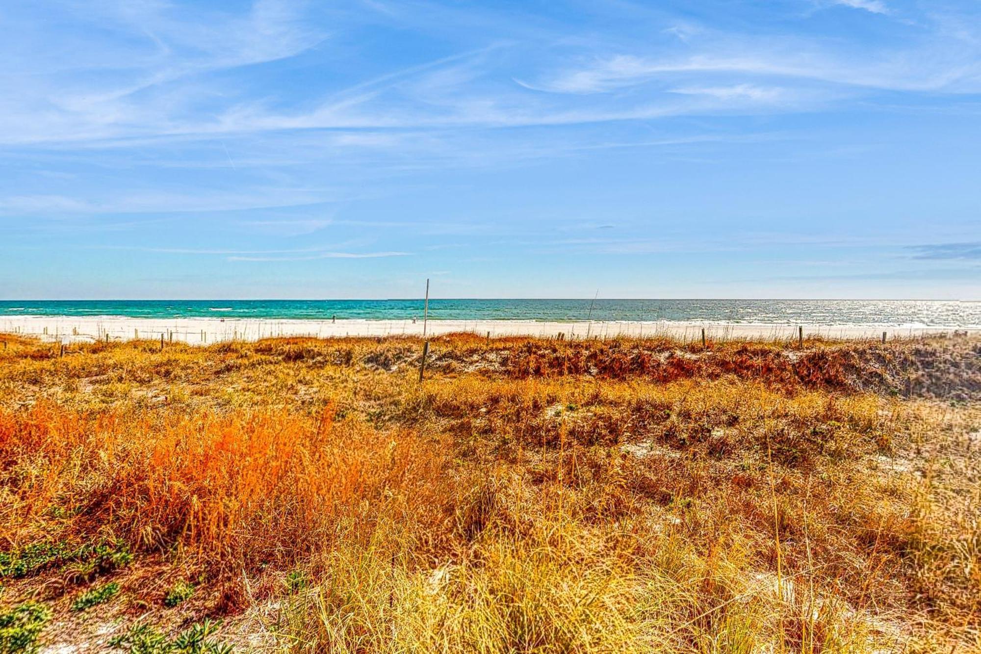 The Enclave #507 Leilighet Orange Beach Eksteriør bilde